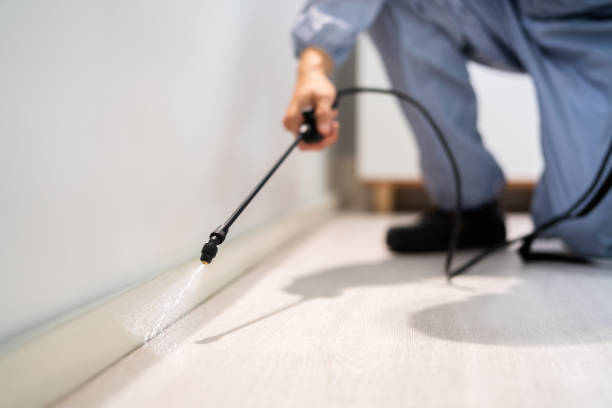 Licensed Termite Control service in Quincy, CA - Nex Pest Control