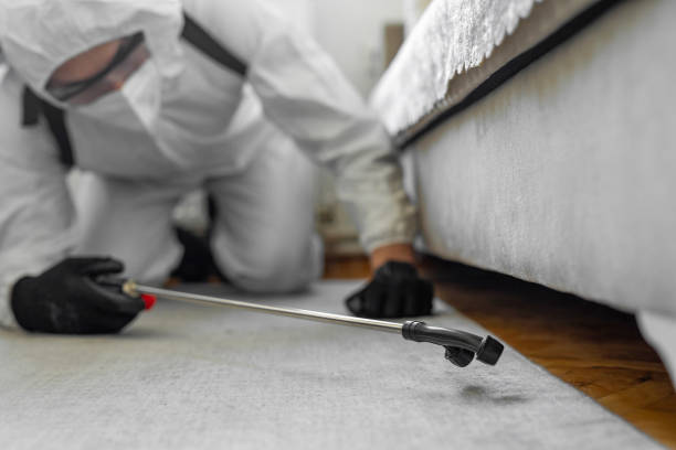 Professional Termite Control technician working in Quincy, CA