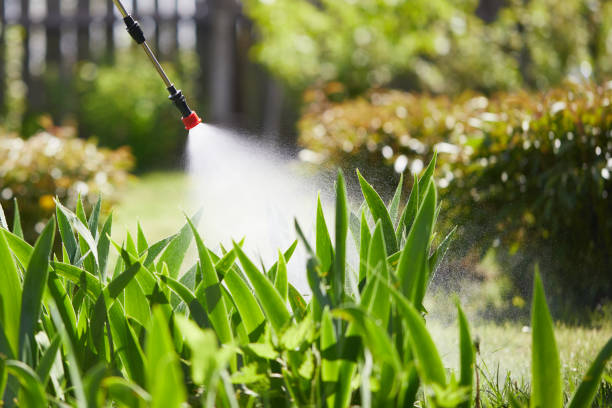 24/7 Emergency Termite Control experts in Quincy, CA