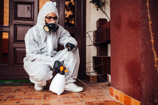 Reliable Termite Control contractor in Quincy, CA by Nex Pest Control